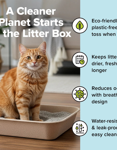 Load image into Gallery viewer, Large Cat Sifter, Eco-Friendly Litterbox with Scoop - Pack of 6
