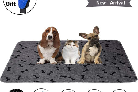 Washable Dog Pee Pads with Free Grooming Gloves,Non Slip Dog Mats with Great Urine Absorption,Reusable Puppy Pee Pads for Whelping,Potty,Training,Playpen