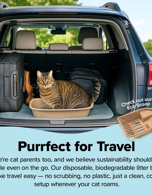 Load image into Gallery viewer, Large Cat Sifter, Eco-Friendly Litterbox with Scoop - Pack of 6
