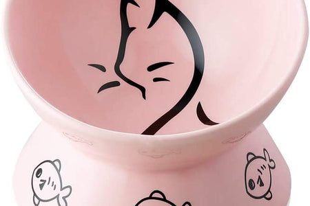 Raised Cat Bowl for Dry Wet Cat Food, Ceramic Elevated Pet Bowl Cat Dish, Protect Cat'S Spine, Stress Free, Slanted Design for Cat Easy Eating, 10 Oz, Dishwasher Safe (Pink)