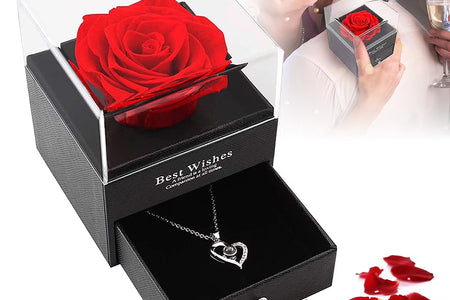 Preserved Red Real Rose with I Love You Necklace in 100 Languages -Eternal Flowers Rose Gifts for Mom Wife Girlfriend Her on Christmas Valentines Day Mother'Sday Anniversary Birthday Gifts for Women