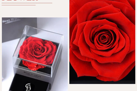 Preserved Red Real Rose with I Love You Necklace in 100 Languages -Eternal Flowers Rose Gifts for Mom Wife Girlfriend Her on Christmas Valentines Day Mother'Sday Anniversary Birthday Gifts for Women