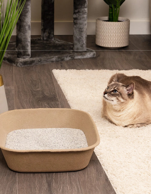 Load image into Gallery viewer, Large Cat Sifter, Eco-Friendly Litterbox with Scoop - Pack of 6

