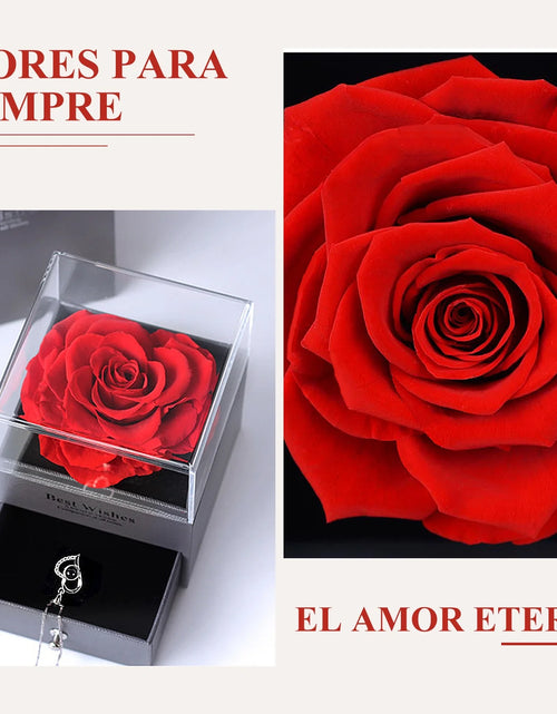 Load image into Gallery viewer, Preserved Red Real Rose with I Love You Necklace in 100 Languages -Eternal Flowers Rose Gifts for Mom Wife Girlfriend Her on Christmas Valentines Day Mother'Sday Anniversary Birthday Gifts for Women
