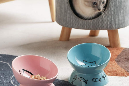 Raised Cat Bowl for Dry Wet Cat Food, Ceramic Elevated Pet Bowl Cat Dish, Protect Cat'S Spine, Stress Free, Slanted Design for Cat Easy Eating, 10 Oz, Dishwasher Safe (Pink)